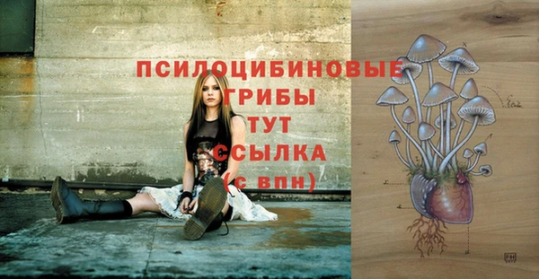 таблы Алексеевка